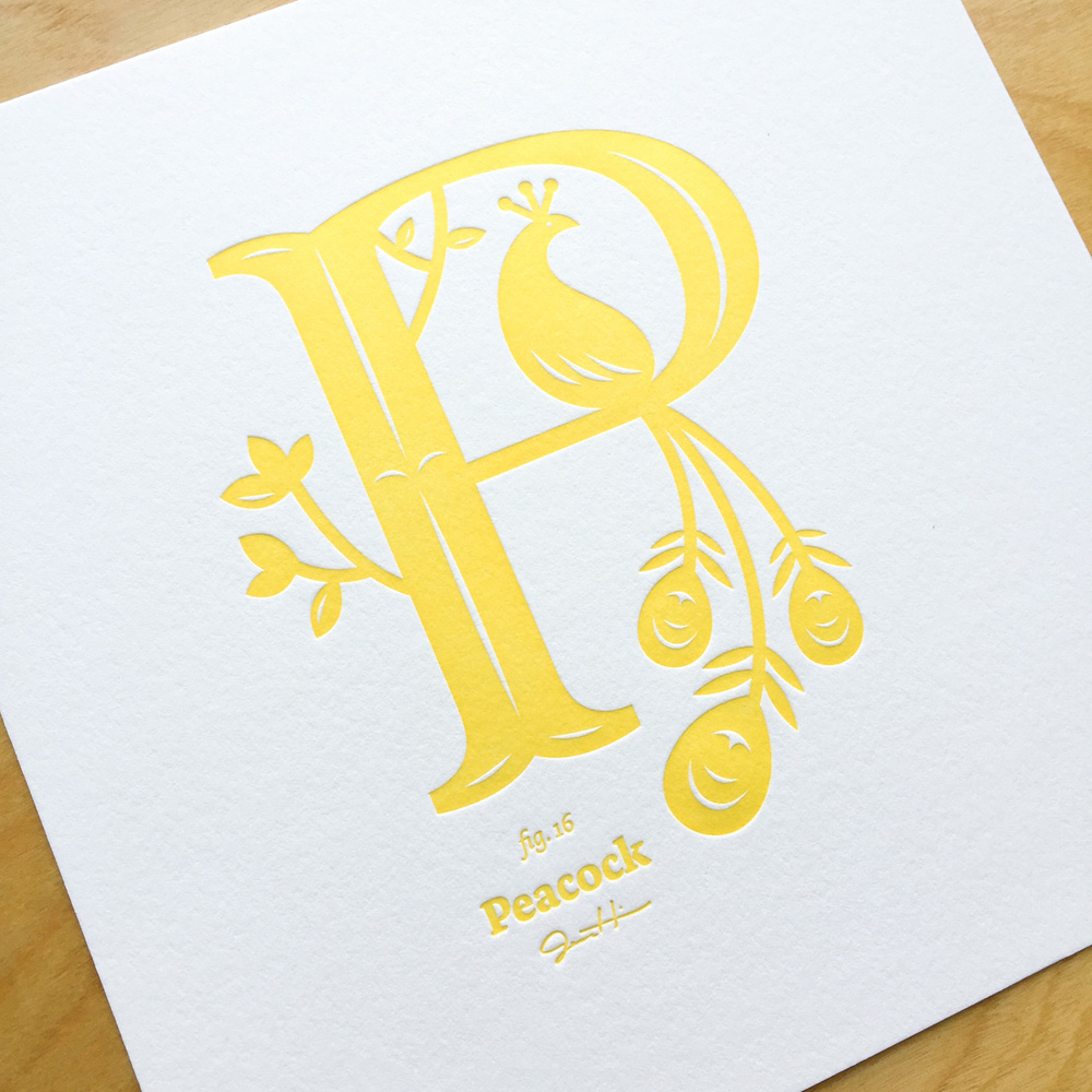 Letterpress Alphabirds | Jessica Hische