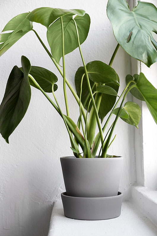 DIY IKEA plant pot Ingefära | plants at home 