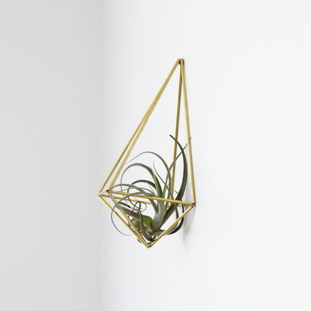 Air plant holder Himmeli by Hruskaa | plants at home 