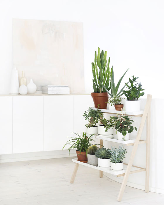 Kekkilä plant pot ladder | plants at home 