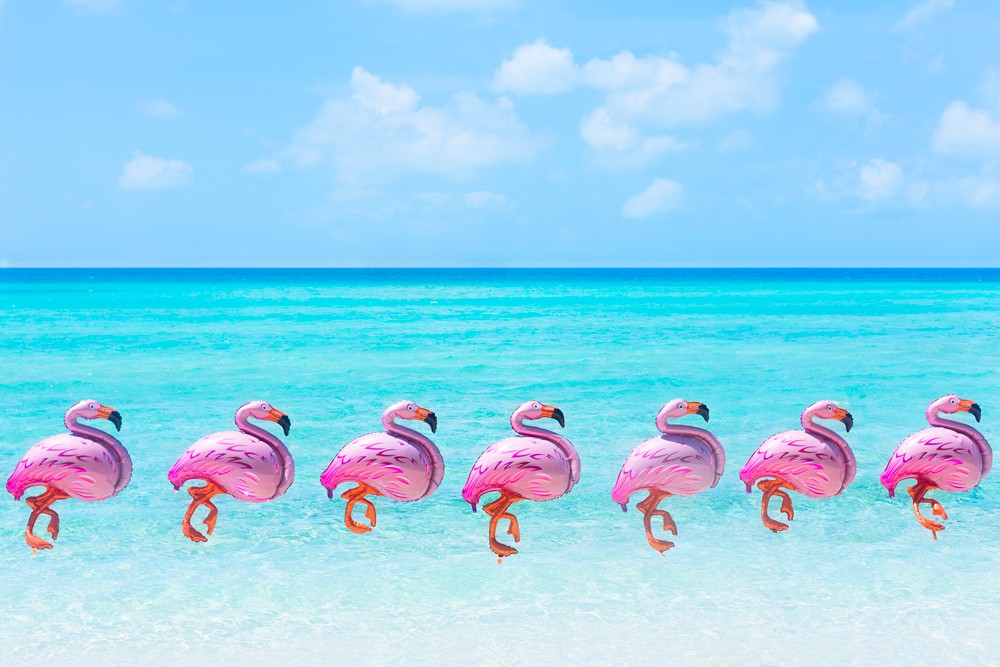 Gray Malin Flamingos Balloons
