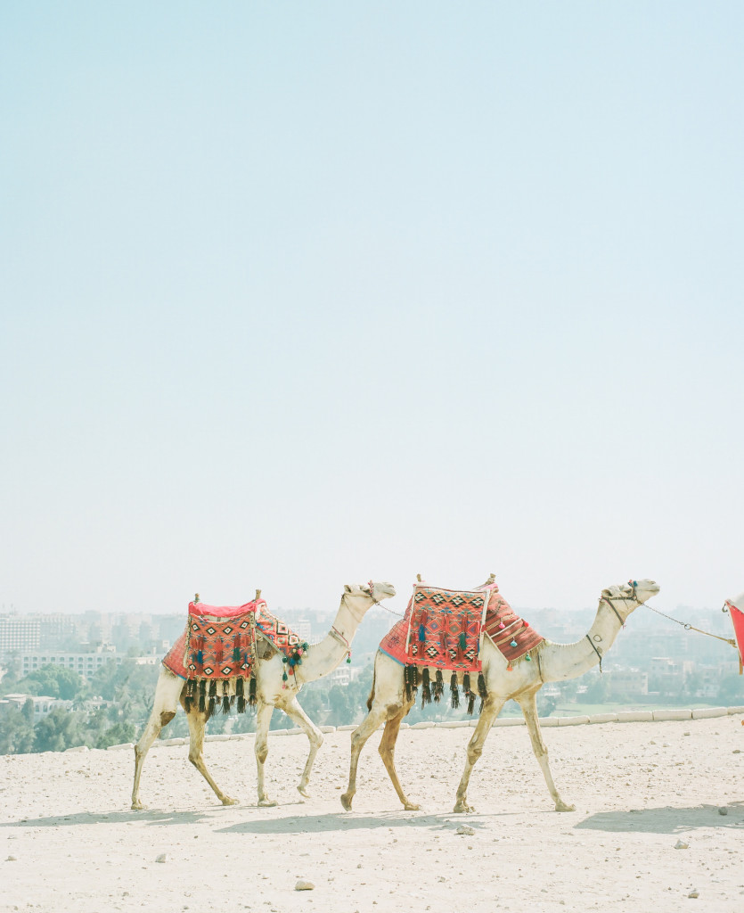 Hideaki Hamada Travel Photography | Egypt