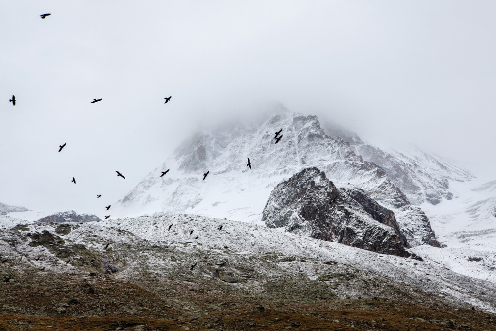 Winter landscape