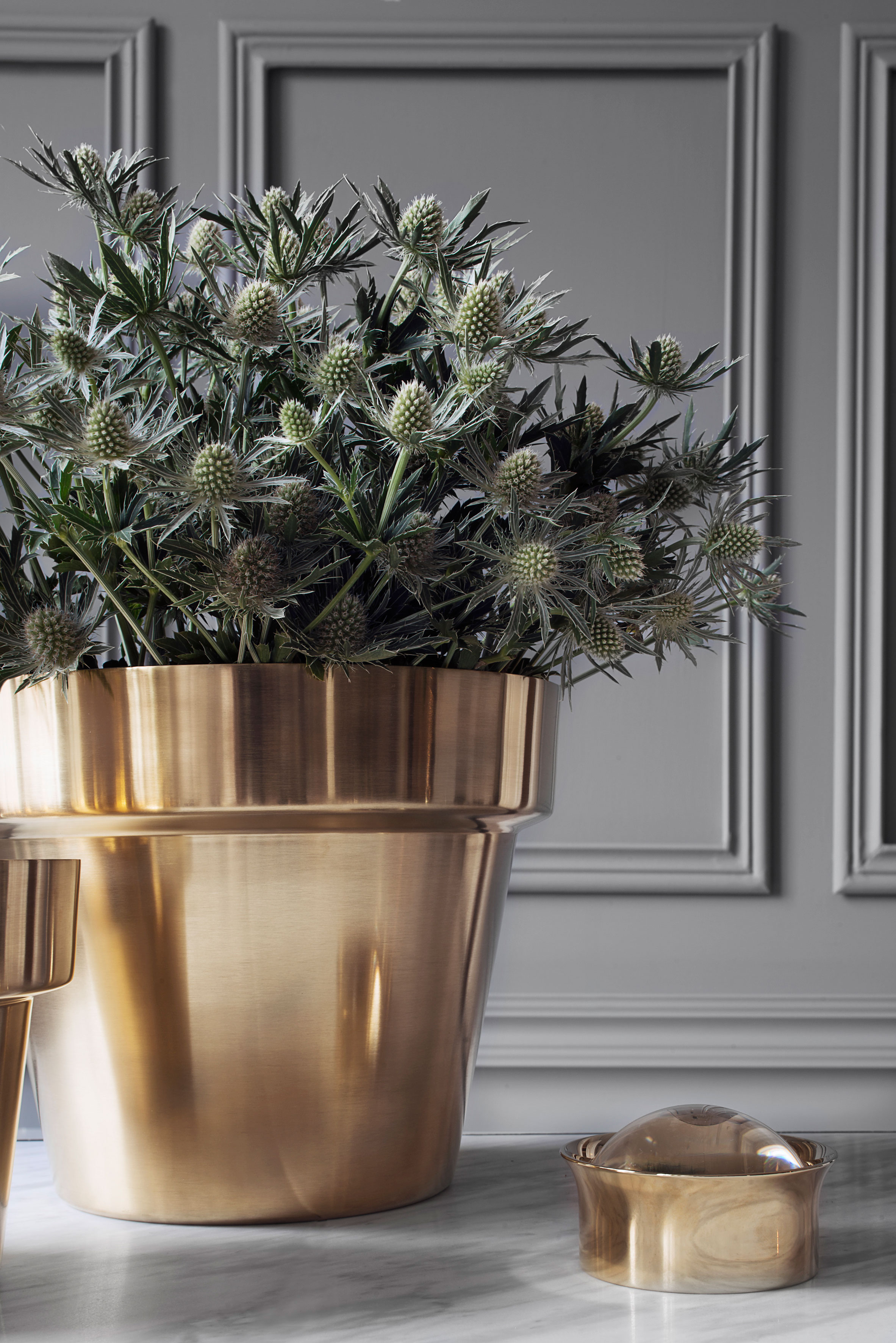 Golden planters made of brushed brass by Skultuna | Accessories for the home