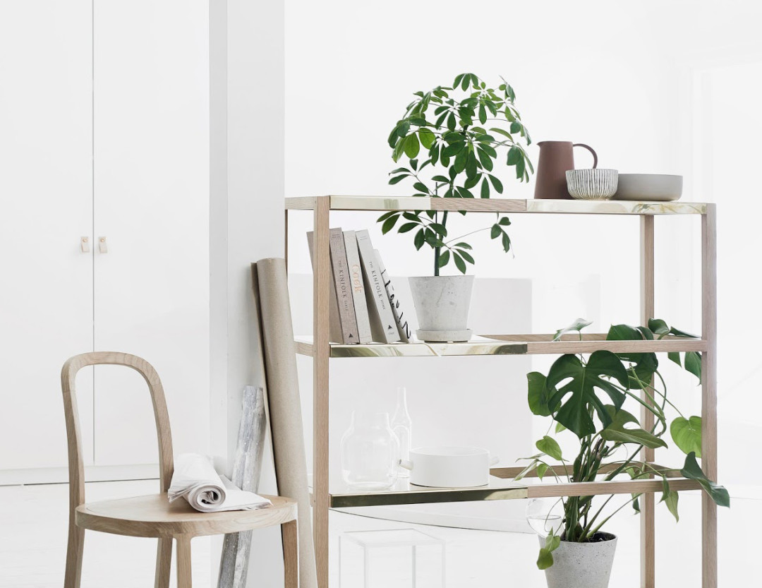 The Botanic Shelf – A multifunctional piece of furniture for your plants