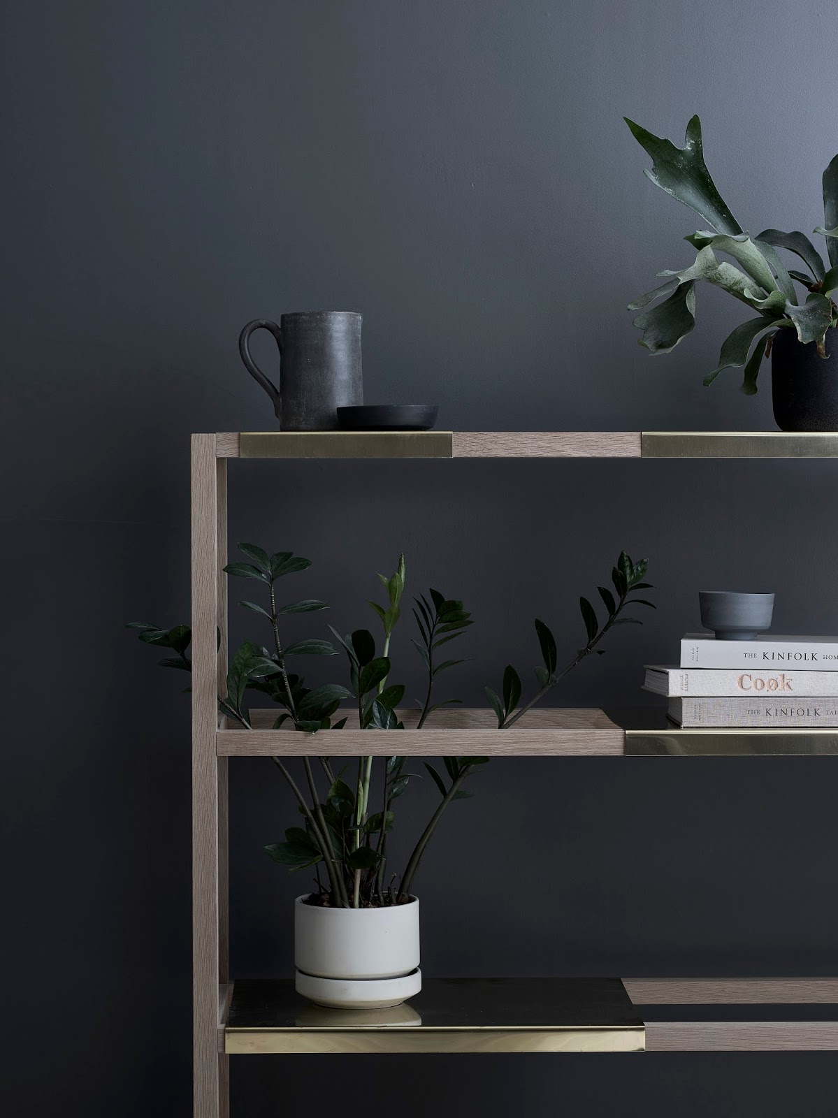The Botanic Shelf – A multifunctional piece of furniture for your plants