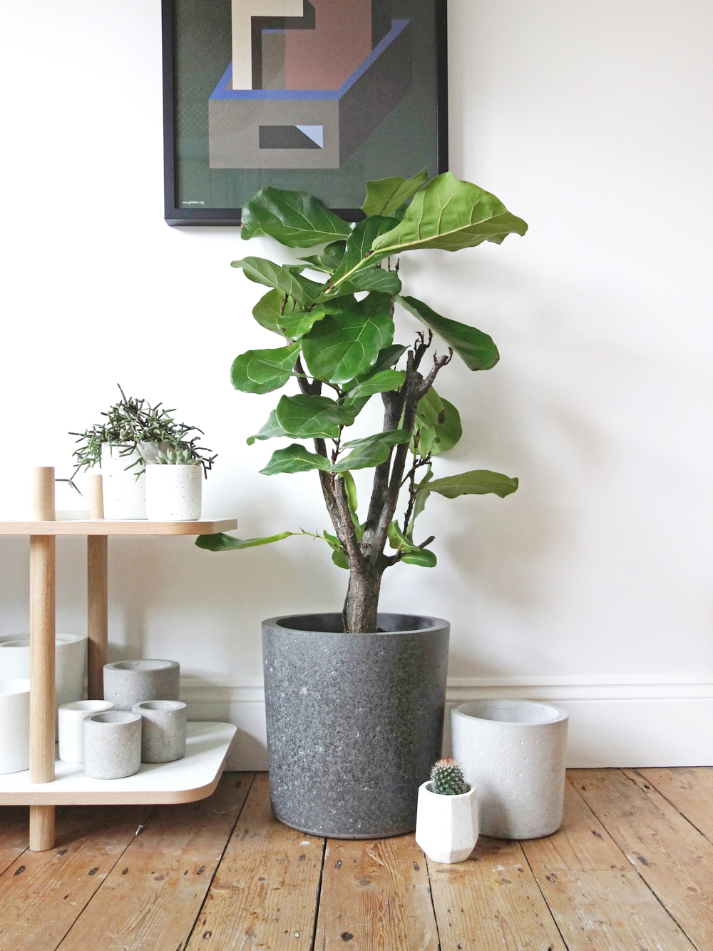 Concrete, Basalt & Marble Planters | Conpot London