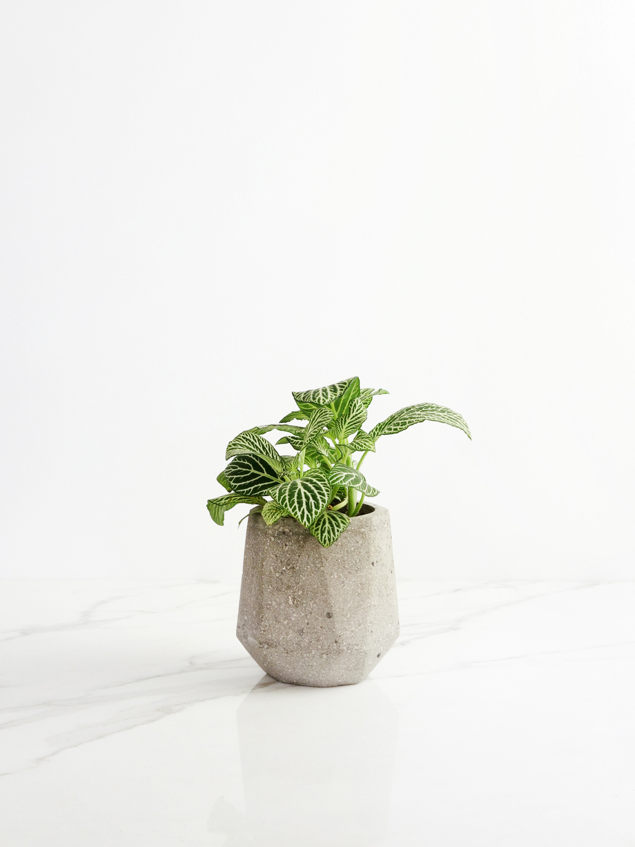 Concrete, Basalt & Marble Planters | Conpot London