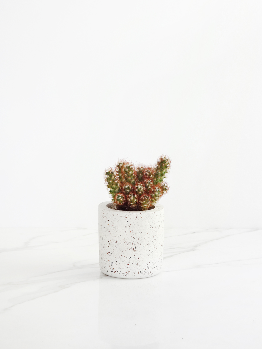 Concrete, Basalt & Marble Planters | Conpot London