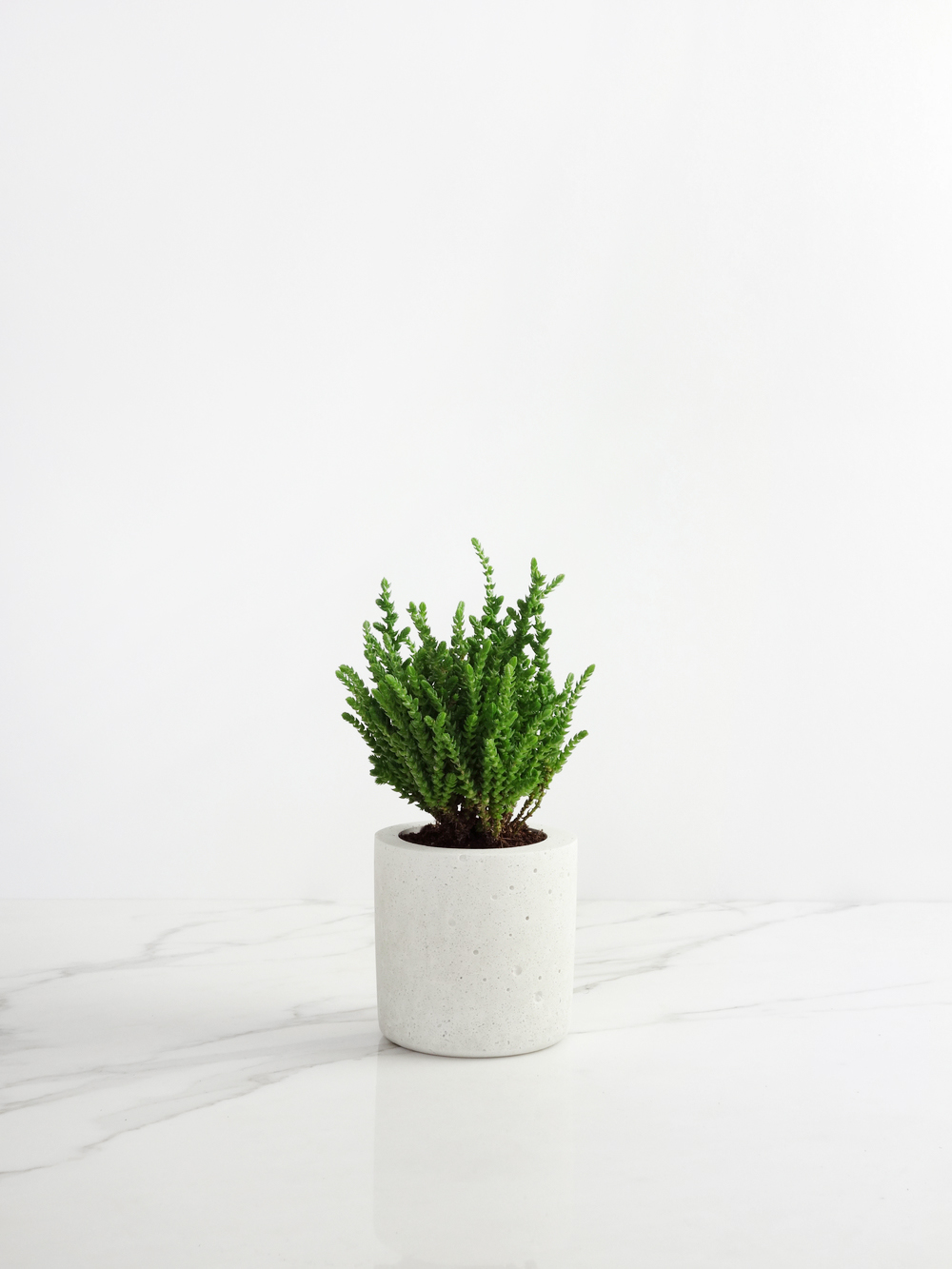 Concrete, Basalt & Marble Planters | Conpot London