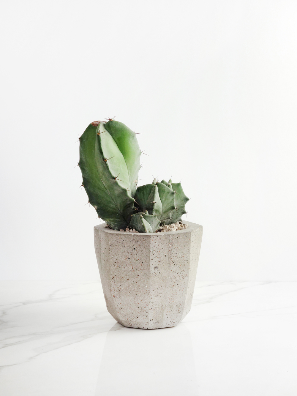 Concrete, Basalt & Marble Planters | Conpot London