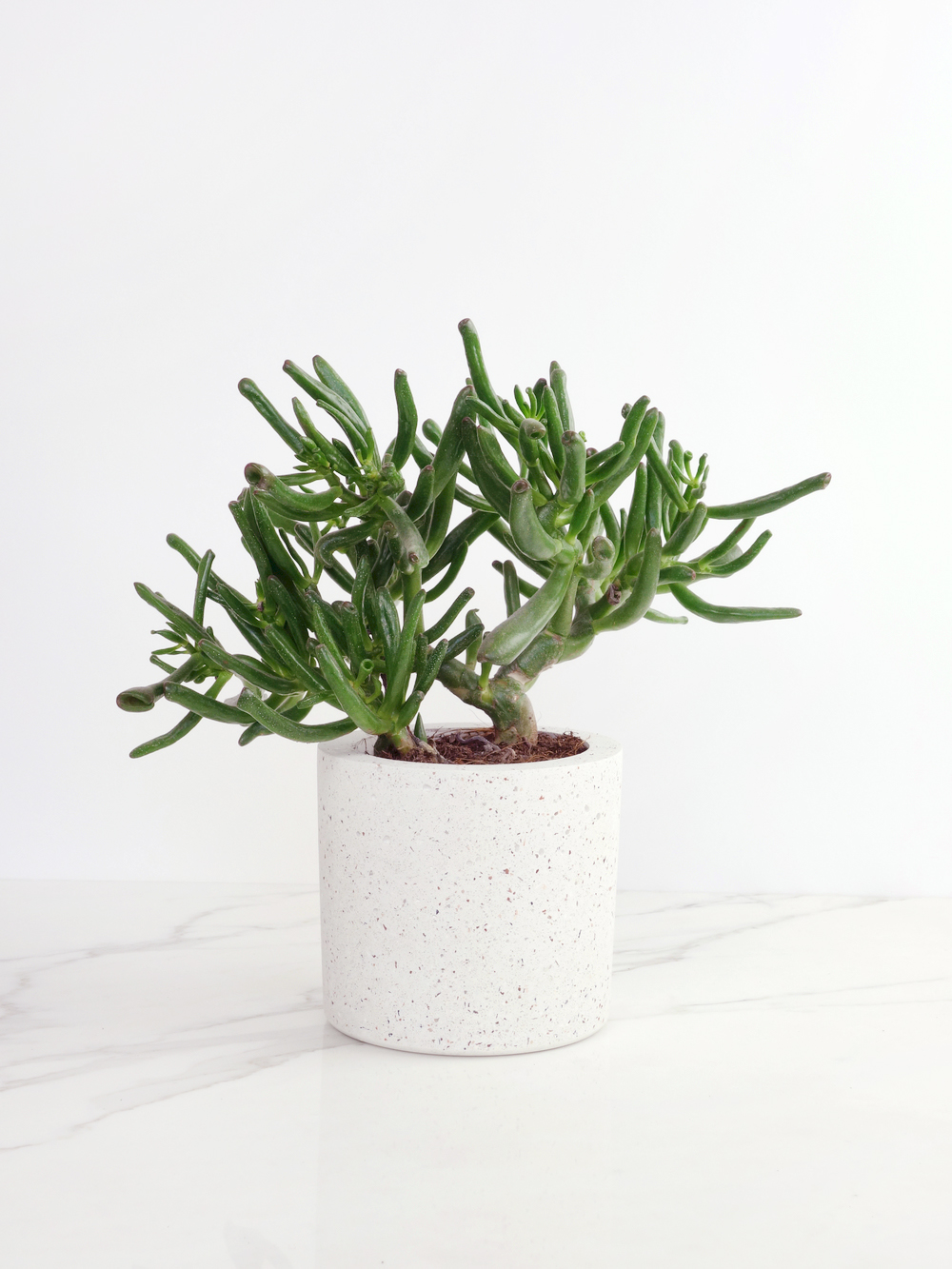 Concrete, Basalt & Marble Planters | Conpot London