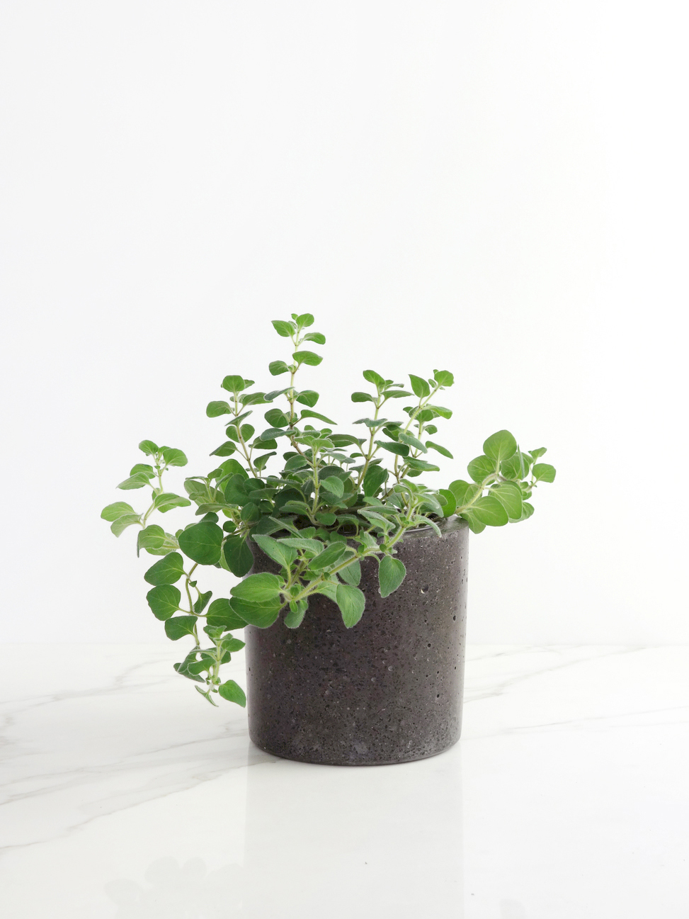 Concrete, Basalt & Marble Planters | Conpot London