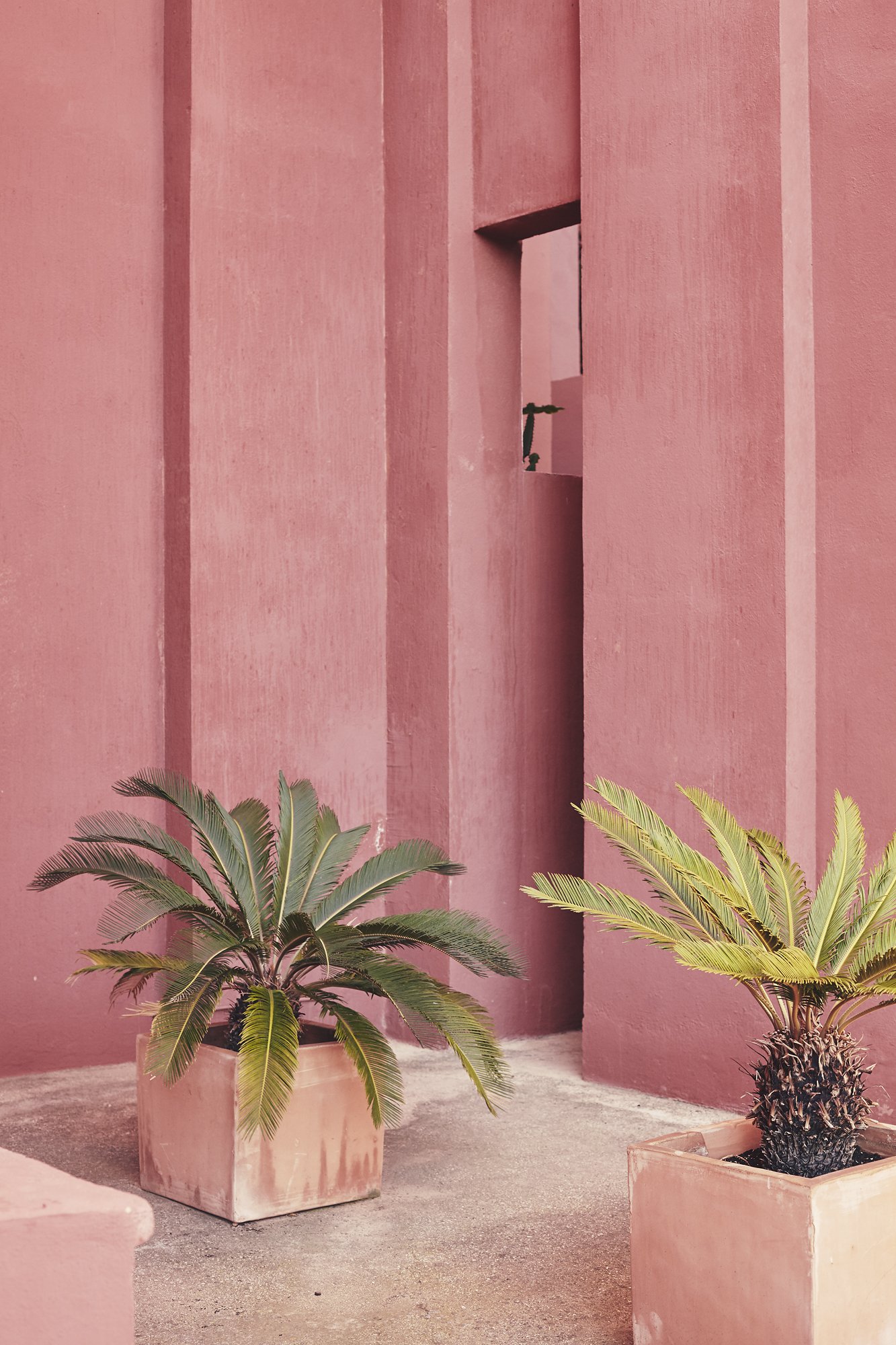 La Muralla Roja | Colors in Architecture