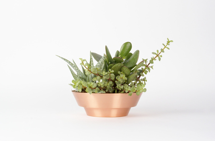 Copper succulent planter