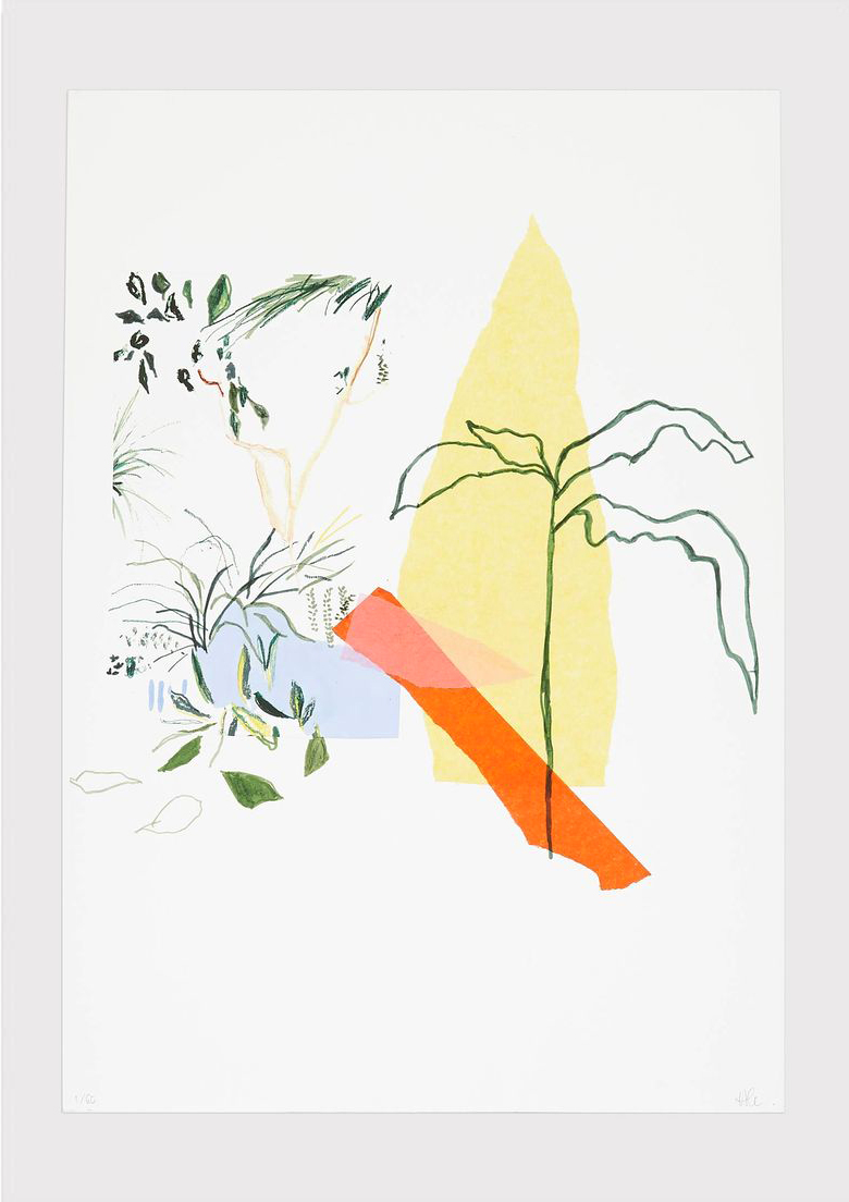 Alicia Galer | Plant Illustration